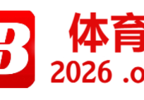 B体育：冲浪运动的基本规则与技巧解析，冲浪的基本知识